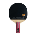 DHS 4 Star Table Tennis Racket