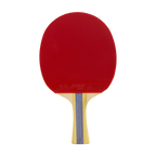 DHS 5 Star Table Tennis Racket