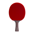DHS Ma Long Classic Series Table Tennis Racket Set