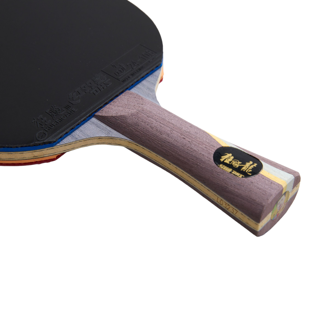 DHS Ma Long Classic Series Table Tennis Racket Set