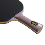 DHS Ma Long Classic Series Table Tennis Racket Set