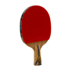 DHS 7 Star Table Tennis Racket