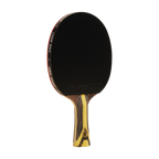 DHS 9 Star Table Tennis Racket