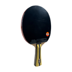 DHS 4 Star Table Tennis Racket