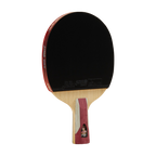 DHS 6 Star Table Tennis Racket