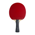 DHS Wang Chuqin Classic Series Table Tennis Racket Set