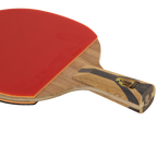 DHS 7 Star Table Tennis Racket