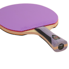 DHS 6 Star Color Edition Table Tennis Racket