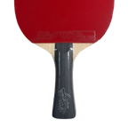 DHS Wang Chuqin Classic Series Table Tennis Racket Set