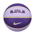 Nike Unisex All Court 2.0 8P L James